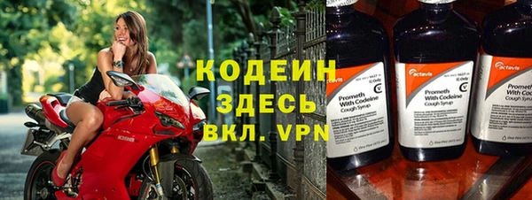 хмурый Магас