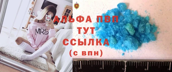 хмурый Магас
