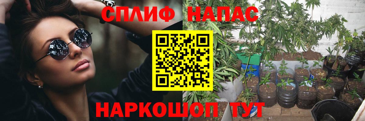 Михайловск  Марихуана планчик  Вход с VPN  Шишки марихуана марихуана  МАРИХУАНА марихуана 